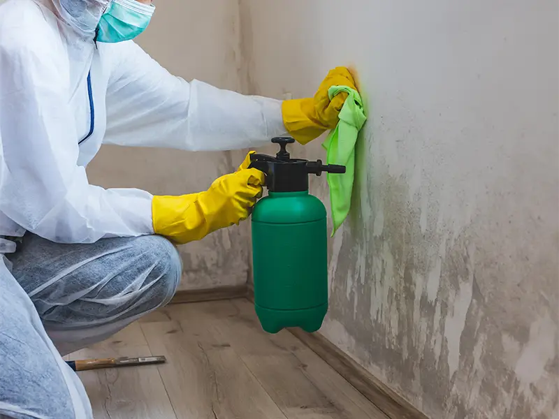 Person in protective gear cleaning moldy wall with spray bottle and cloth. mold remediation services