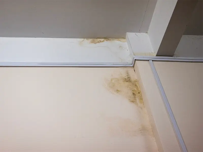 Water stains and mold growth on the corner of a ceiling and wall near a structural beam. mold remediation services